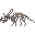 Chasmosaurus Fossilized Skeleton
