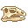新鲜的奥斯尼尔龙头骨 (Fresh Othnielia Skull)