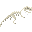 角鼻龙新鲜骨架 (Ceratosaurus Fresh Skeleton)