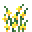 黄鸢尾 (Yellow Iris)
