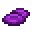 紫色多孔菌