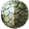 龟盾