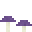 紫丁香蘑 (Tricholomataceae)