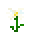 木春菊 (Marguerite Flower)