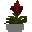 Tropic Flower pot
