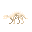 大地懒新鲜骨架 (Megatherium Fresh Skeleton)