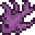 紫颂鱼