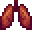 肺 (Lungs)