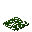 南洋杉落叶 (Araucaria Leaf Carpet)