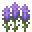 熏衣草 (Lavender)