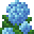蓝绣球花 (Blue Hydrangea)