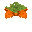 橙色孢子花