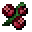 小红莓 (Cranberries)
