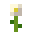 Pixel oxeye daisy