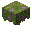盛开的杜鹃花丛 (Flowering Azalea)