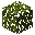 似昆栏树树叶 (Trochodendroides Leaves)