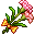 康乃馨花束 (Carnation Bouquet)