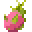 火龙果 (pitaya)