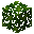 Artocarpus Leaves