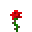 界初玫瑰 (Alpha Rose)