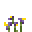 紫风铃草