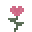 Heart Rose