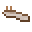 褐毒蛞蝓 (Brown Venomous Slug)