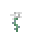 白玫瑰 (White Rose)