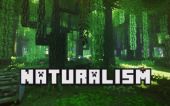 自然主义 (Naturalism)