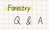 林业Q&A手册