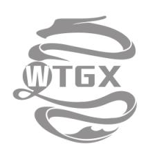 WTGX公益服