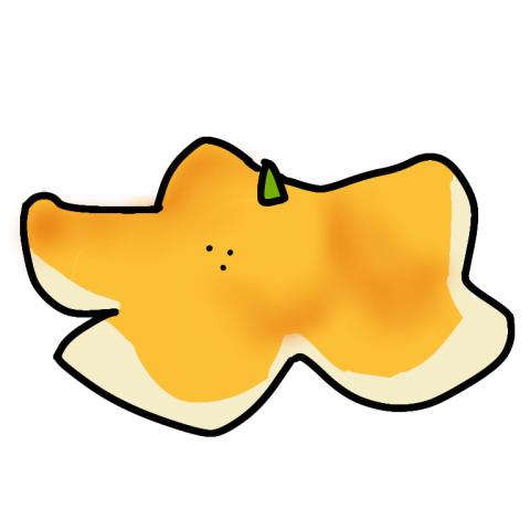 水果橙滑皮